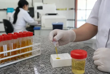 exame toxicológico primeira CNH