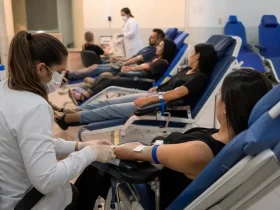 Primavera do Leste doação de sangue