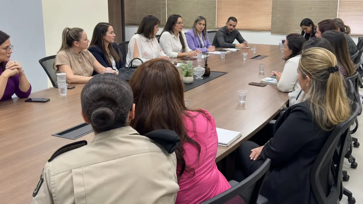 Primavera do Leste rede proteção mulheres
