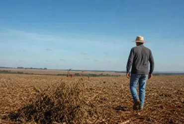 vazio sanitário da soja